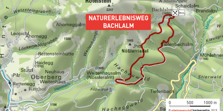 Naturerlebnisweg Bachlalm in Filzmoos