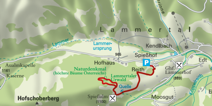 Lammertaler Urwald